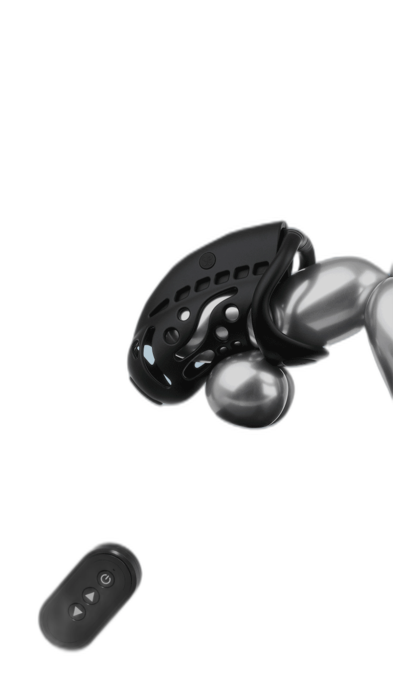 Remote Control Shock Chastity Cage