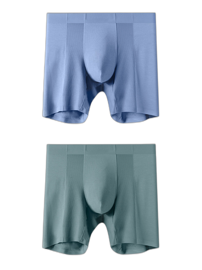 2 Pack Men’s Long Athletic Boxer Briefs