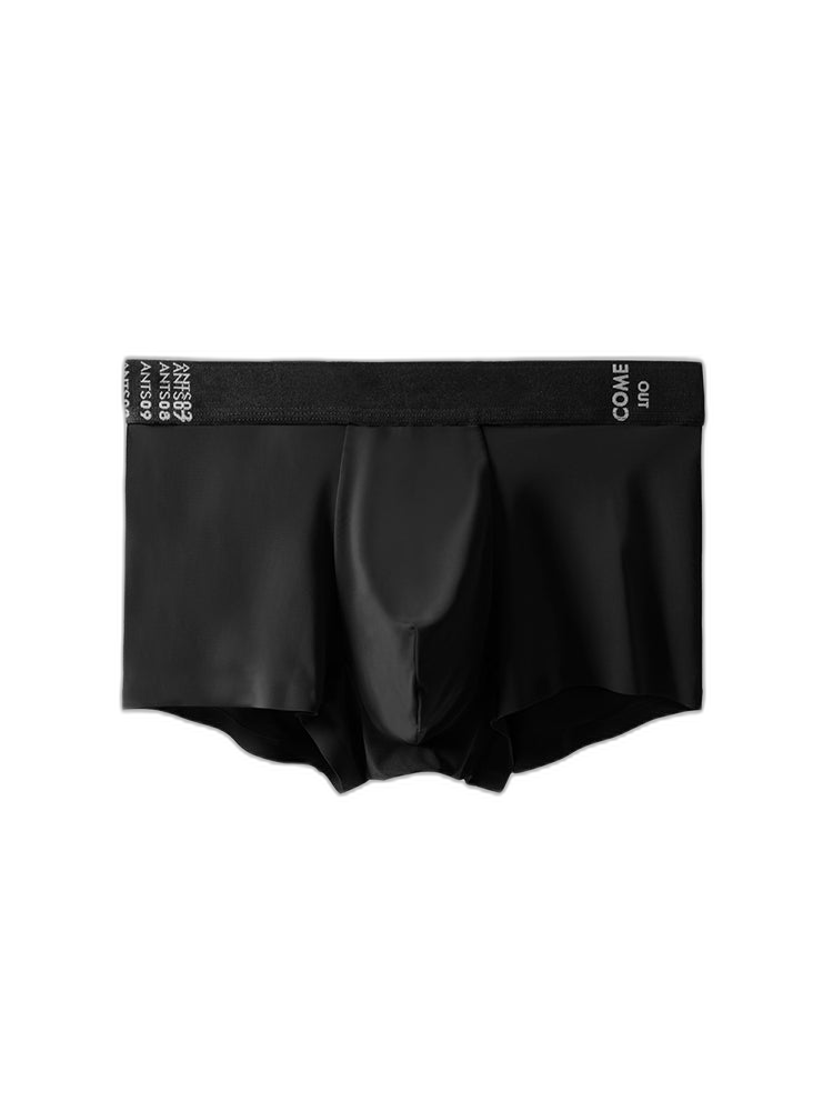 2 Pack Men's Premium Ultra-Thin Seamless Ice Silk Stretch Fit Trunks