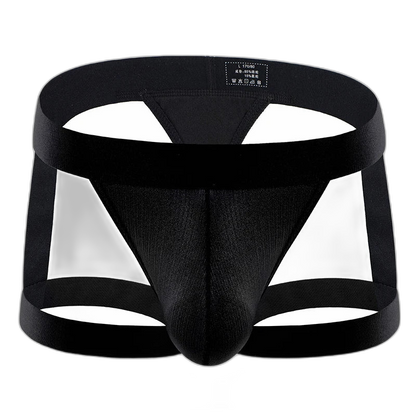 BoldGarter Men's Lingerie Briefs