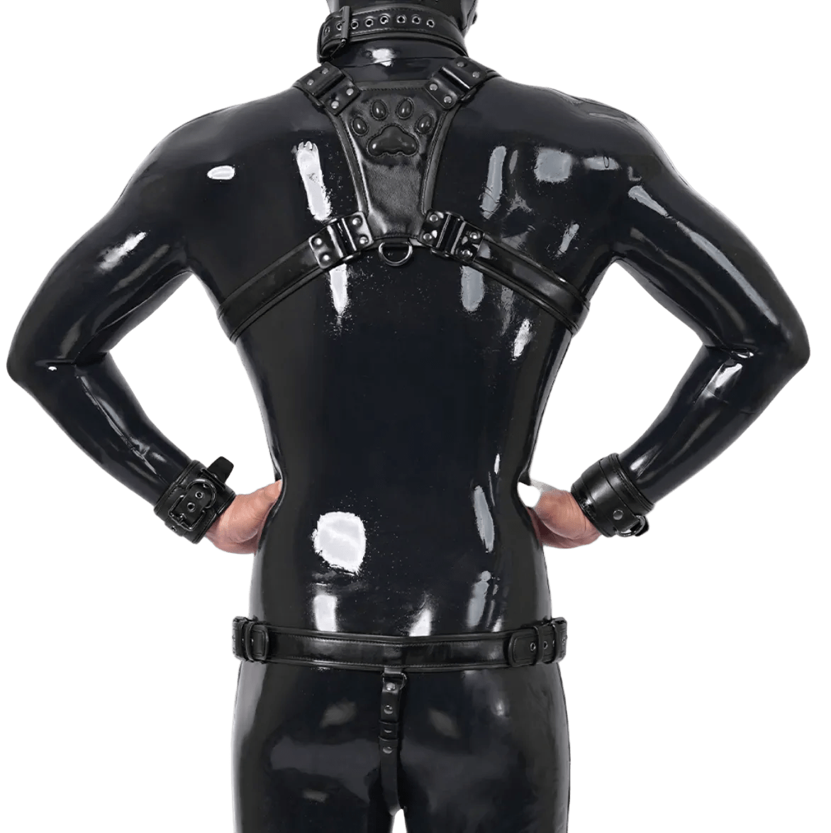 Furrjoi Harness, Cuff, Collar, Lead Underwear Bundle Black - The Pup Play Hub
