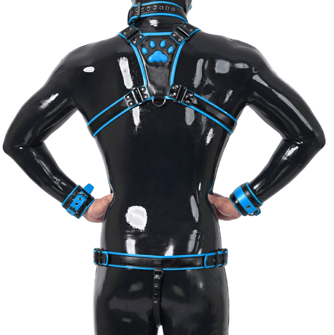 Furrjoi Harness, Cuff, Collar, Lead Underwear Bundle Blue - The Pup Play Hub