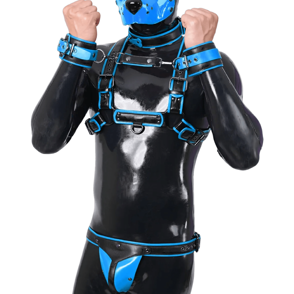 Furrjoi Harness, Cuff, Collar, Lead Underwear Bundle Blue - The Pup Play Hub