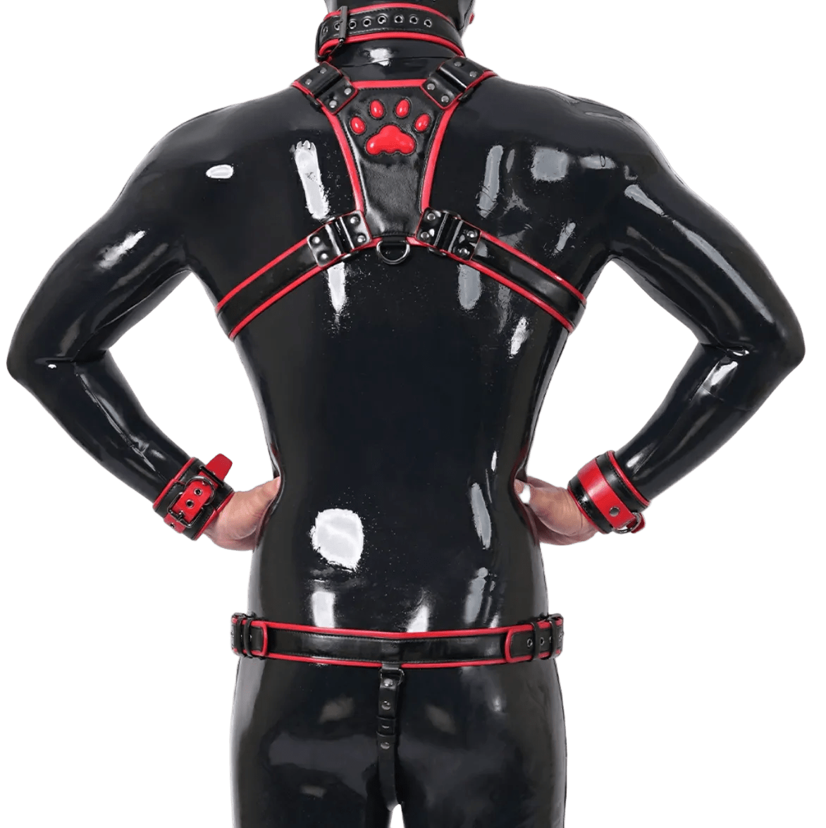 Furrjoi Harness, Cuff, Collar, Lead Underwear Bundle Red - The Pup Play Hub