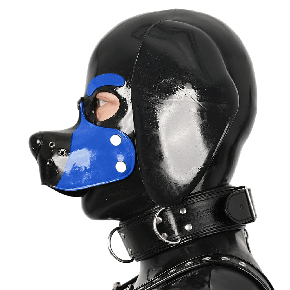 Furrjoi Silicone Beagle Hood Blue - The Pup Play Hub