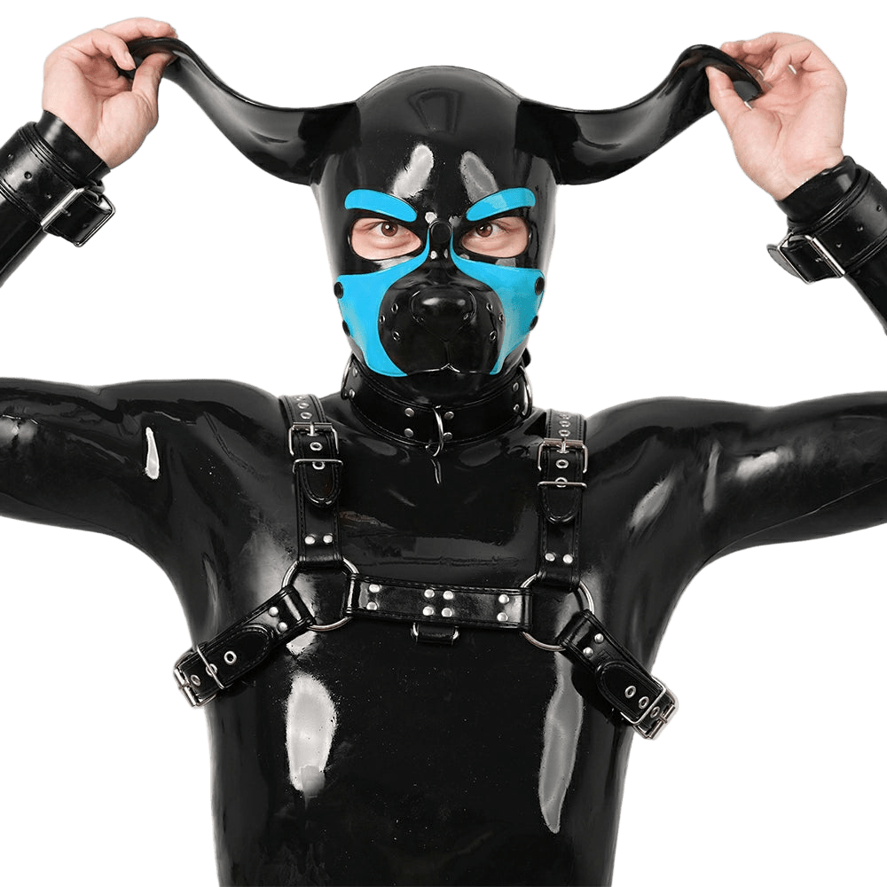 Furrjoi Silicone Beagle Hood Light Blue - The Pup Play Hub