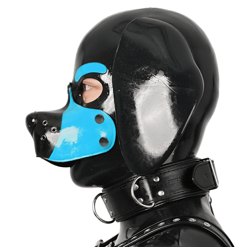 Furrjoi Silicone Beagle Hood Light Blue - The Pup Play Hub