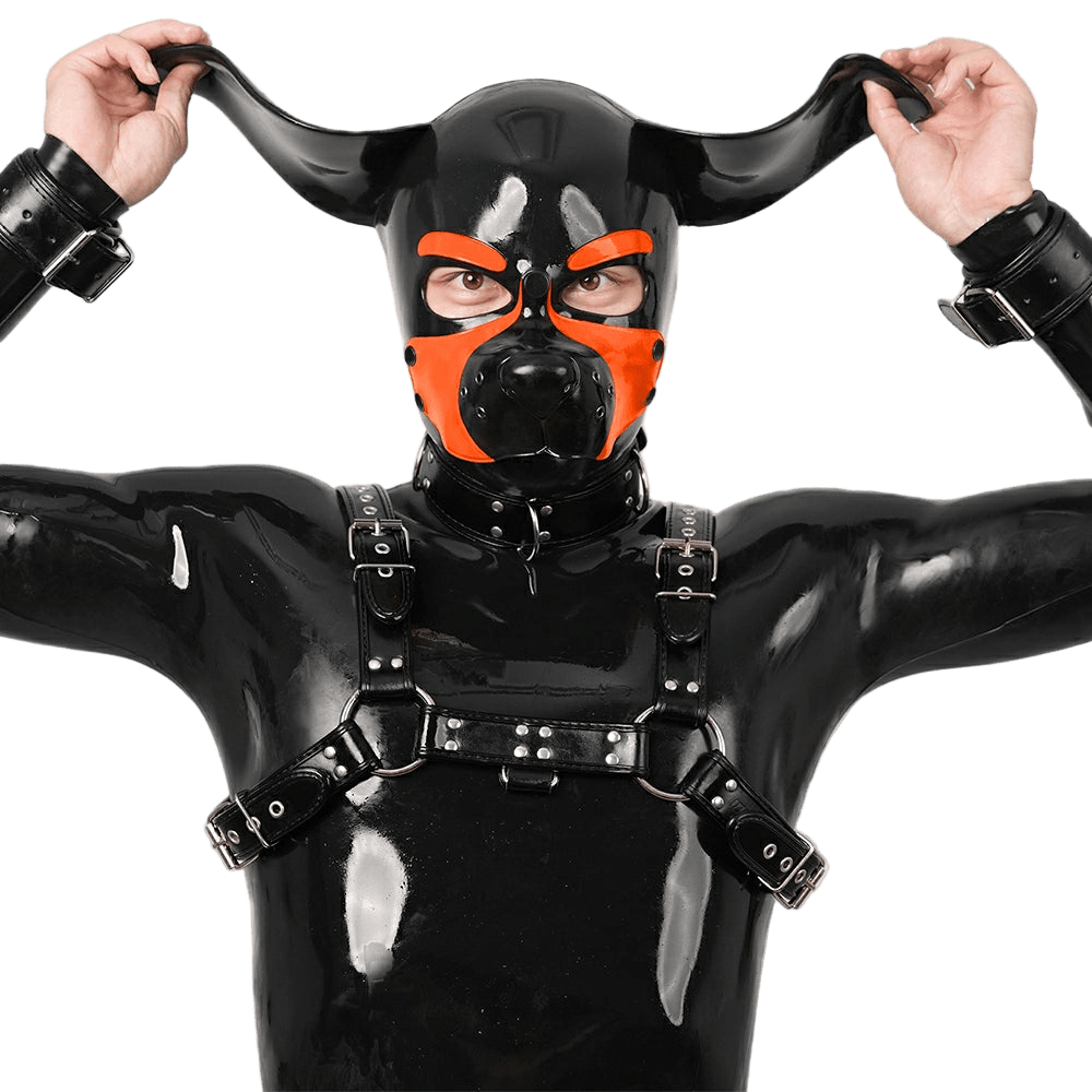 Furrjoi Silicone Beagle Hood Orange - The Pup Play Hub