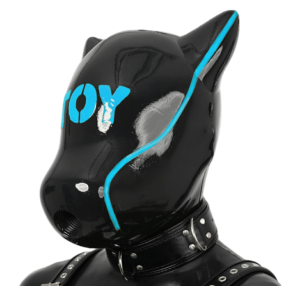 Furrjoi Toy Drone Hood Light Blue - The Pup Play Hub