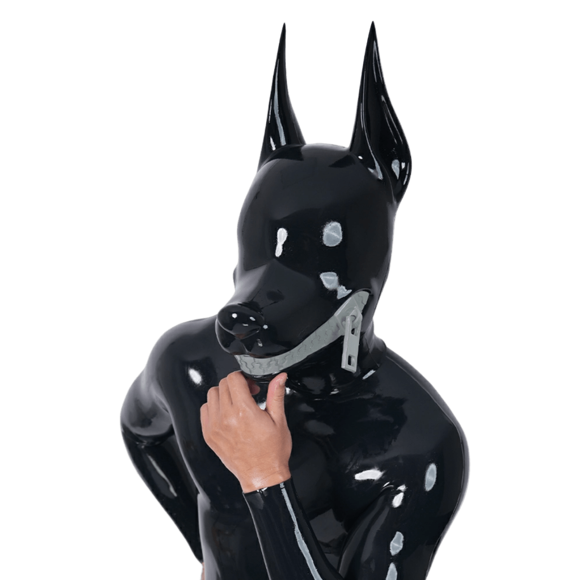 Furrjoi Zipper Dog Hood - The Pup Play Hub