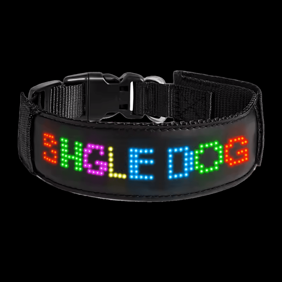 Future Collar - The Pup Play Hub