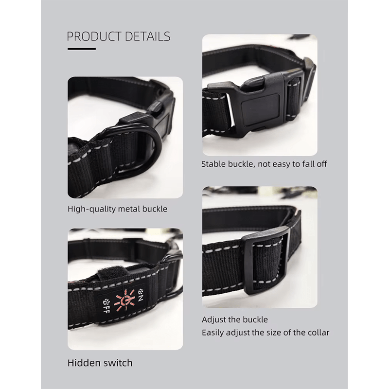 Future Collar - The Pup Play Hub