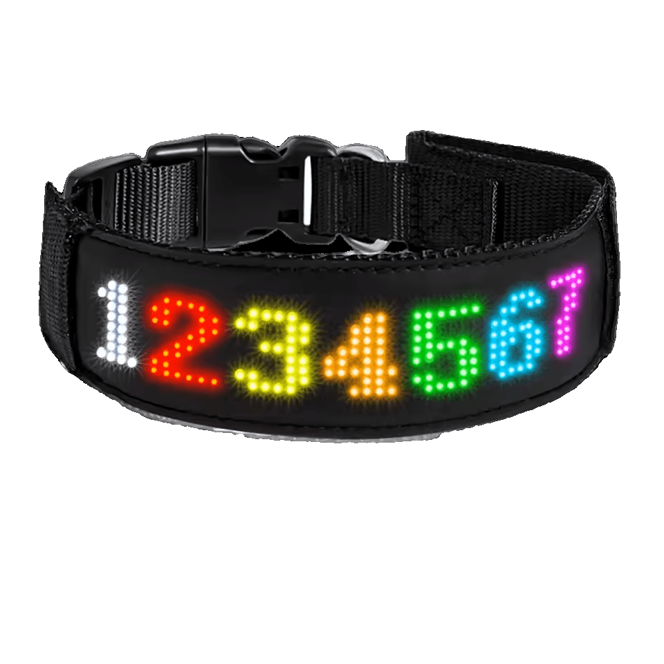 Future Collar - The Pup Play Hub