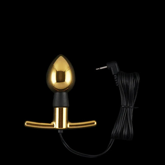 Dungeon Labs Metal BiPolar Electrode A