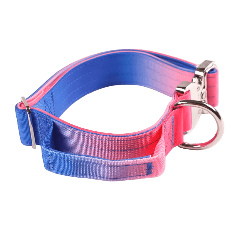 Heavy Duty Gradient Collar Blue/Pink - The Pup Play Hub