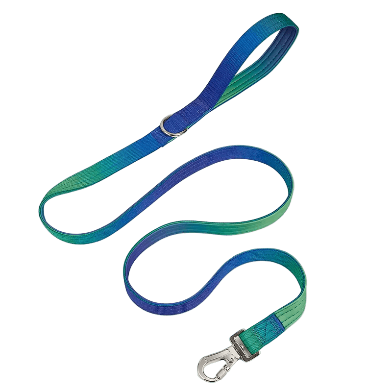 Heavy Duty Gradient Lead Blue/Green - The Pup Play Hub