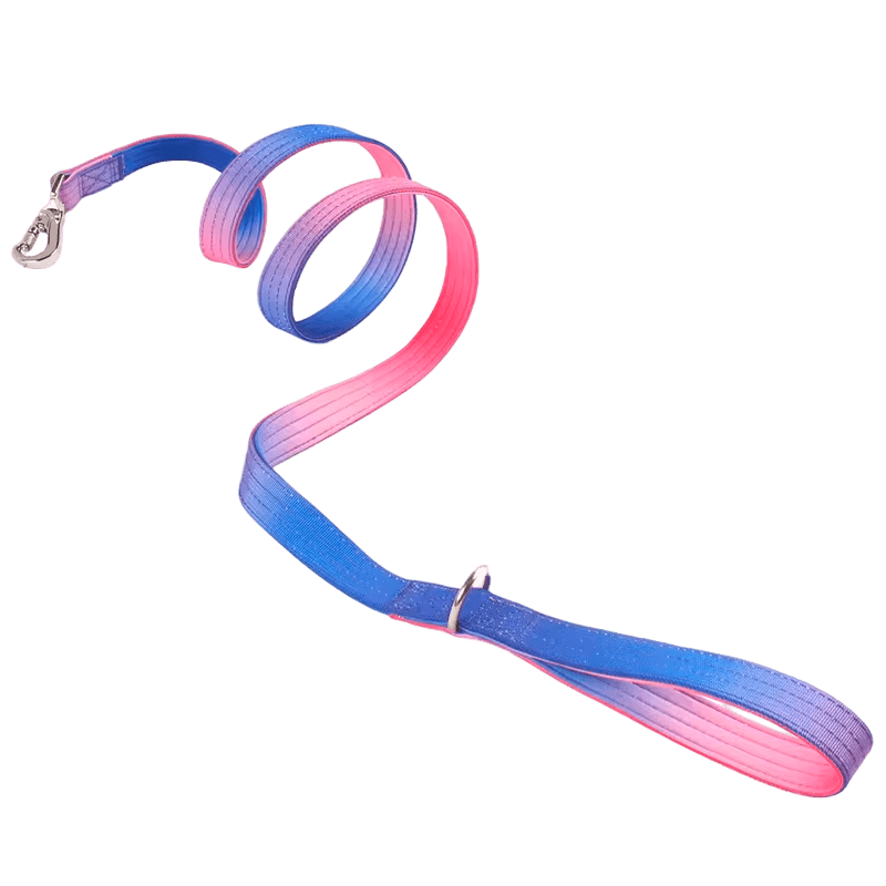 Heavy Duty Gradient Lead Blue/Pink - The Pup Play Hub