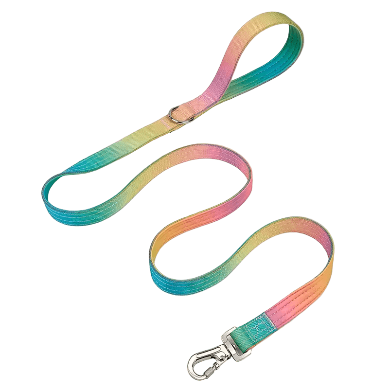 Heavy Duty Gradient Lead Green/Pink - The Pup Play Hub