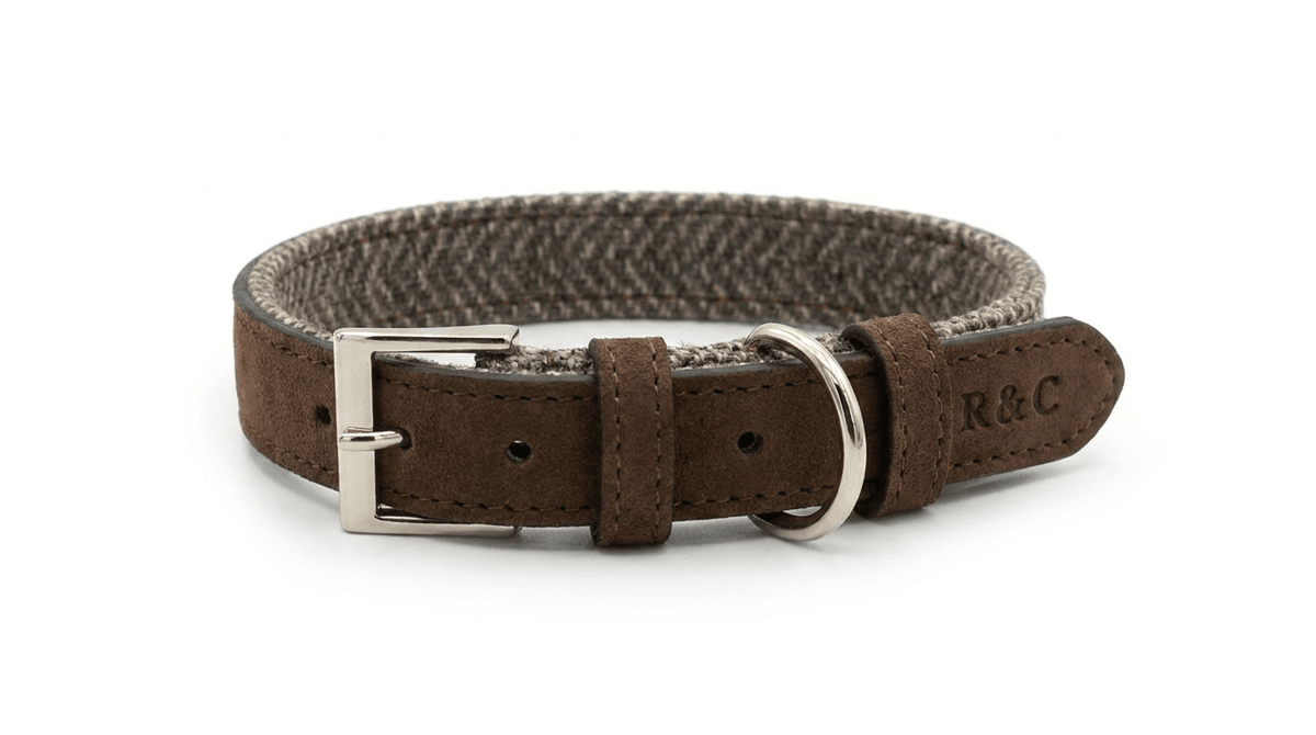 Herringbone & Leather Collar - Lincoln