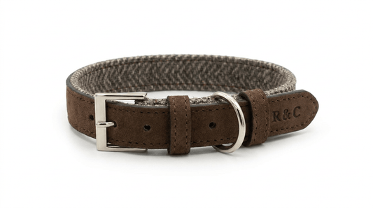 Herringbone & Leather Collar - Lincoln