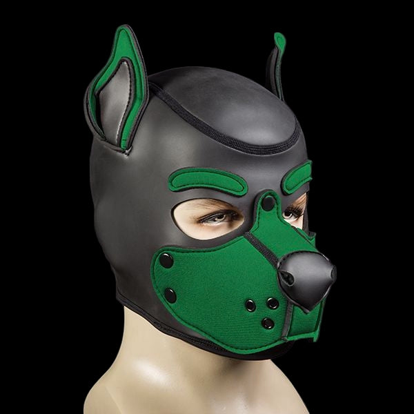 Mr S Leather Neoprene K9 Puppy Hood | Black/Hunter Green