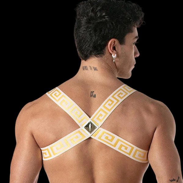 Leader Invictus Harness | White Gold - The Pup Play Hub