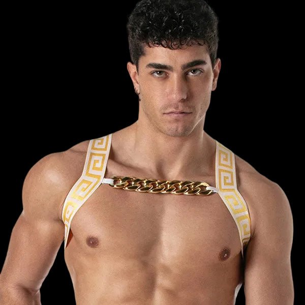 Leader Invictus Harness | White Gold - The Pup Play Hub