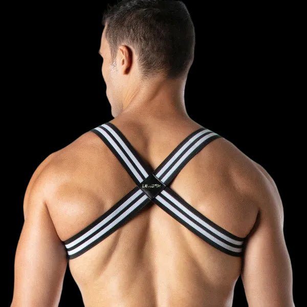 Leader Loaded Harness | Black - The Pup Play Hub