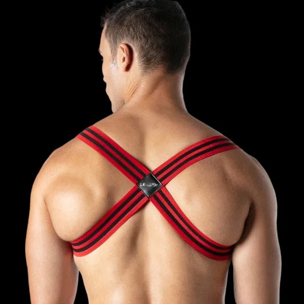 Leader Loaded Harness | Red - The Pup Play Hub