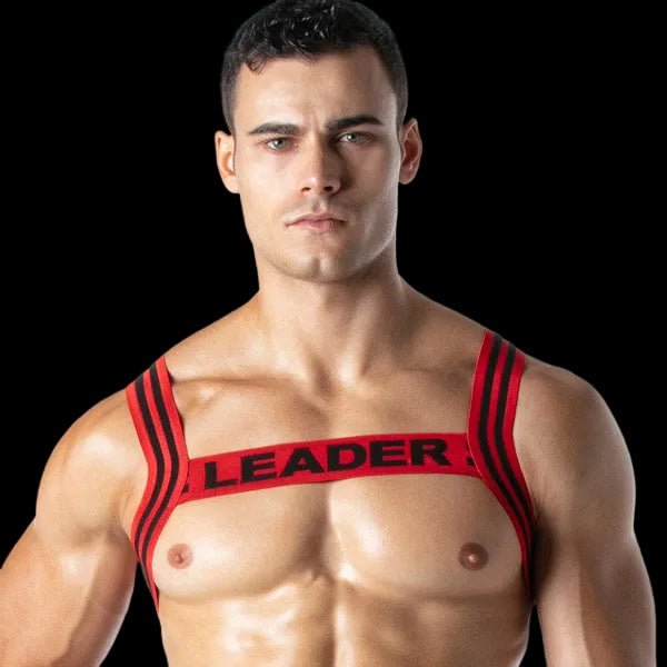 Leader Loaded Harness | Red - The Pup Play Hub