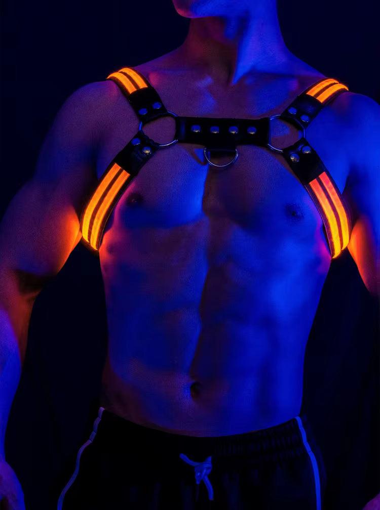 Led Halo Harness Orange - The Pup Play Hub