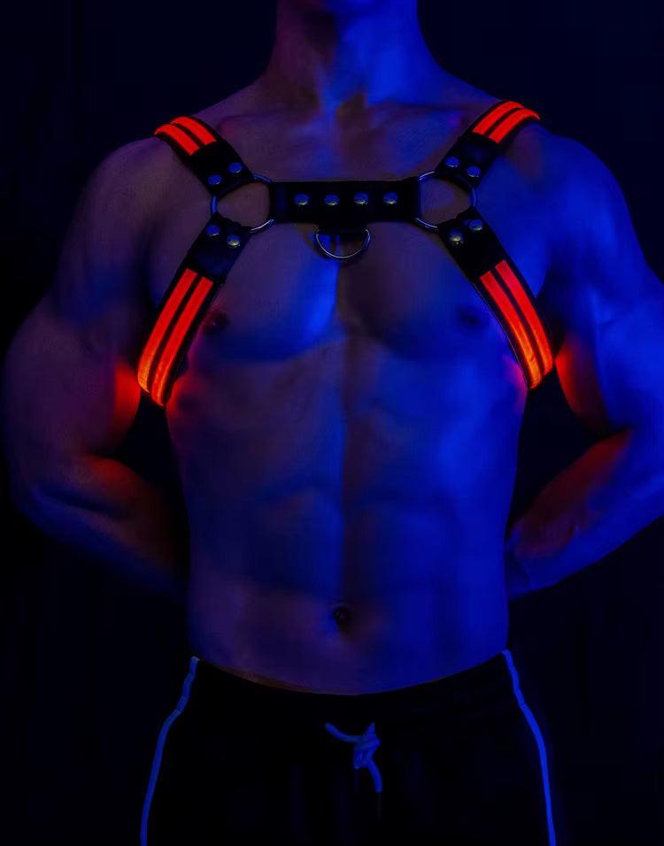 Led Halo Harness Red - The Pup Play Hub