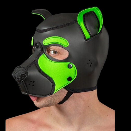 Mr S Leather NEOPRENE FRISKY Puppy Hood | Black & Lime
