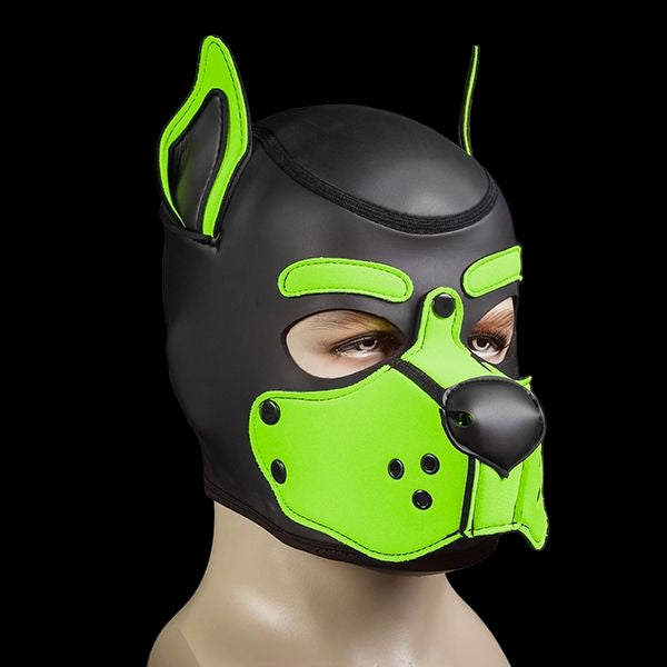 Mr S Leather Neoprene K9 Puppy Hood | Black/Lime Green