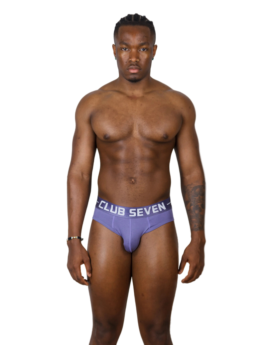 LUXE Cotton Briefs Purple - The Pup Play Hub