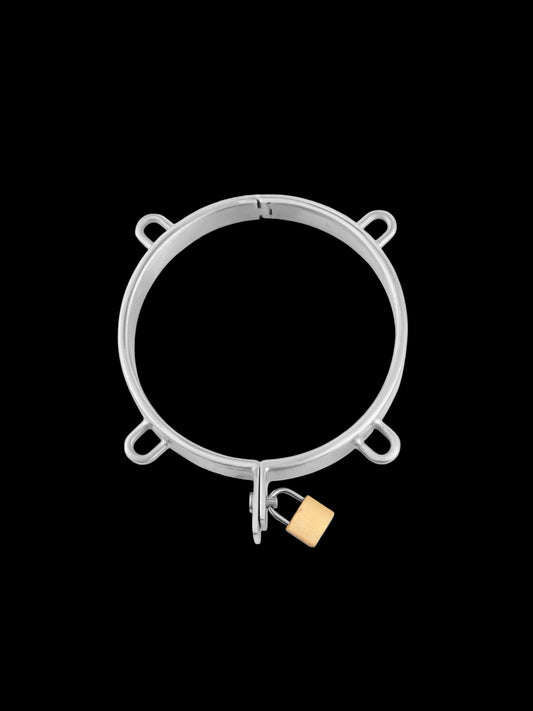Stainless Steel Collar, 4 Attachment Rings, with Padlock