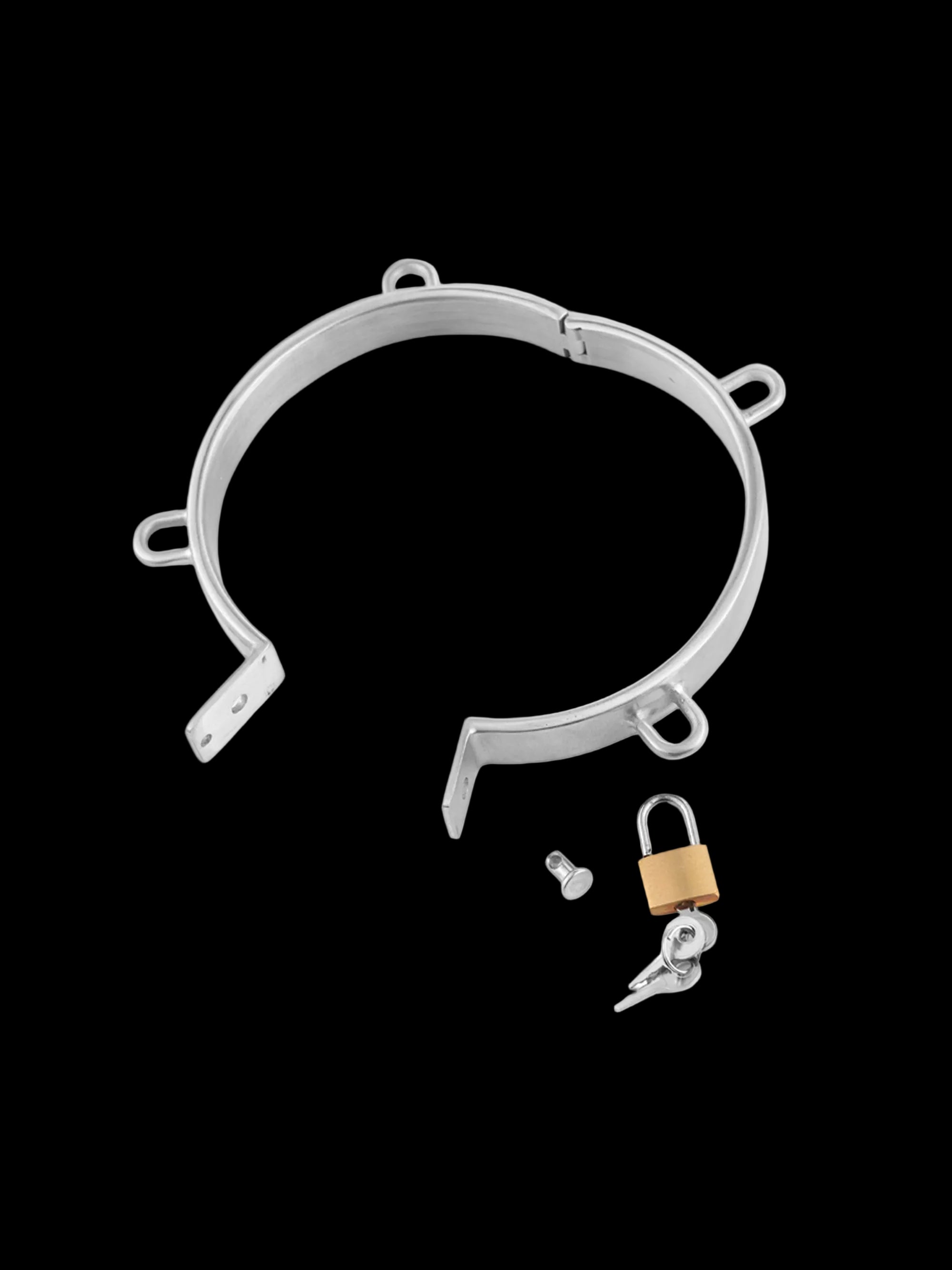 Stainless Steel Collar, 4 Attachment Rings, with Padlock