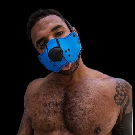 Mr S Leather Neo Open Chin Face Harness - The Pup Play Hub