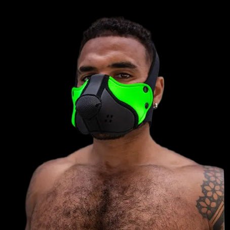 Mr S Leather Neo Open Chin Face Harness - The Pup Play Hub