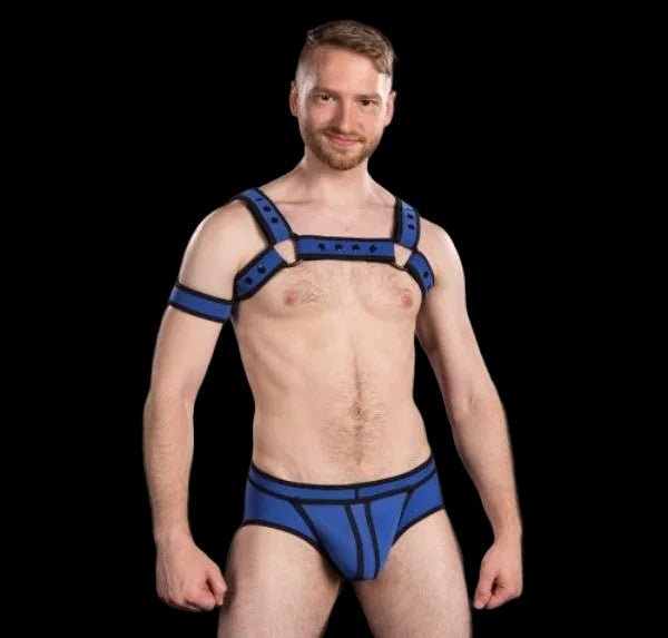 Mr S Leather Neoprene Bulldog Harness | Blue - The Pup Play Hub
