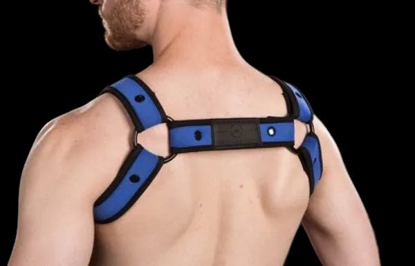 Mr S Leather Neoprene Bulldog Harness | Blue - The Pup Play Hub
