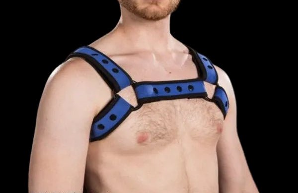 Mr S Leather Neoprene Bulldog Harness | Blue - The Pup Play Hub