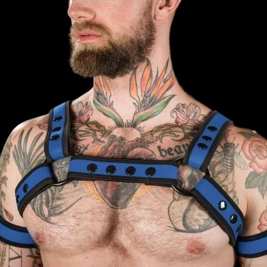 Mr S Leather Neoprene Bulldog Harness | Cobalt Blue - The Pup Play Hub