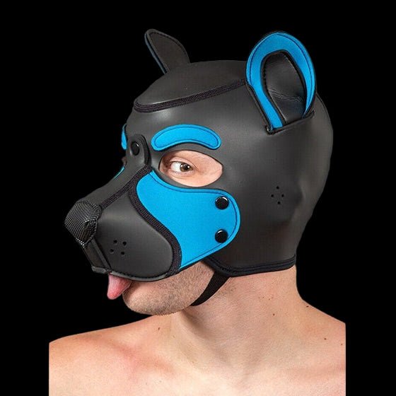 Mr S Leather NEOPRENE FRISKY Puppy Hood | Black & Aqua - The Pup Play Hub