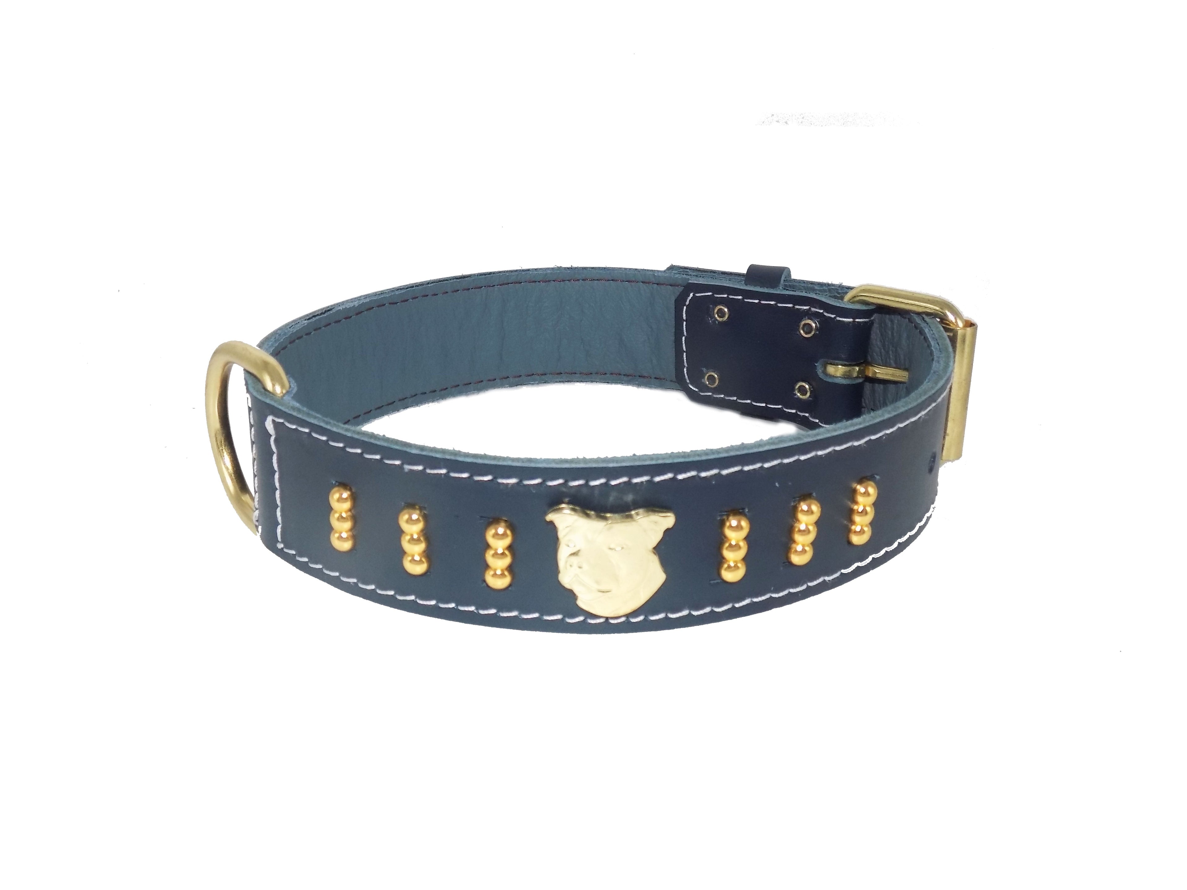 1.5" wide Staffy Leather Dog Collar with Gold Unique Decorative Design and Staffordshire Bull Terrier Badge