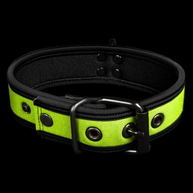 Mr S Leather NEO Puppy Collar Lime Green