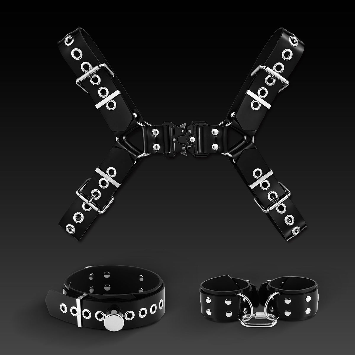 Buckle Harness Combo