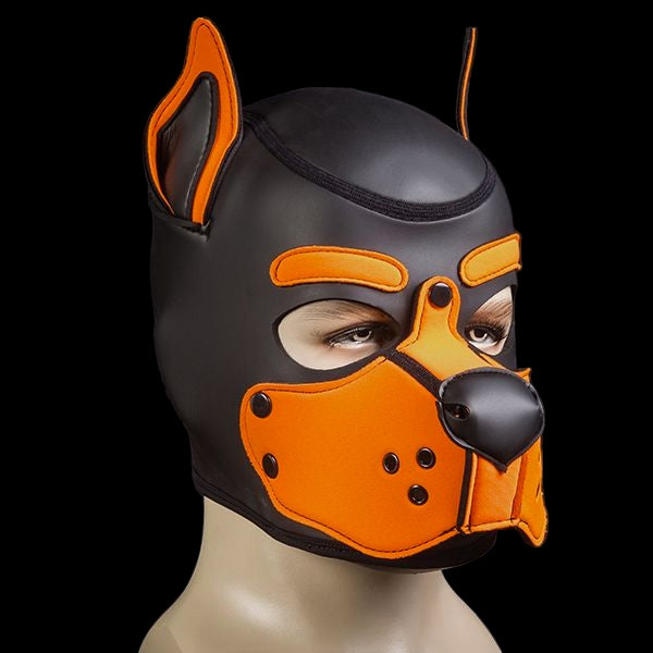 Mr S Leather Neoprene K9 Puppy Hood | Black/Orange