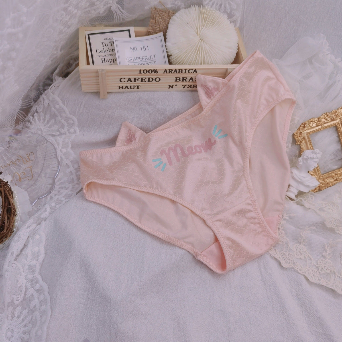 Cat Pouch Femboy Panties