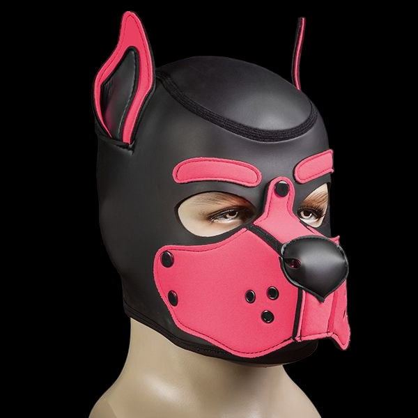 Mr S Leather Neoprene K9 Puppy Hood | Black/Pink